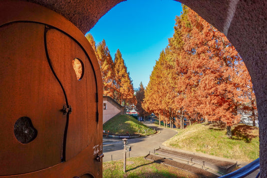 Free! No 📷 photo cheats! Tokyo Trekking in Autumn 🍁 Come and see us!