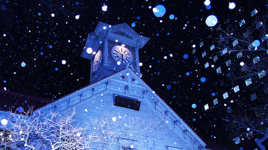 Go to Hokkaido in winter 💙 Share your inspiring experience🦋🌨️❄️