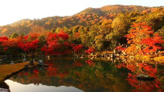 Weather and What to Wear in Kyoto and Osaka: September and October