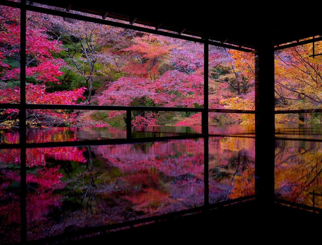2025 Kyoto Autumn Foliage Ranking TOP 10 / The Most Breathtaking Autumn Scenery Recognized by Japanese Media