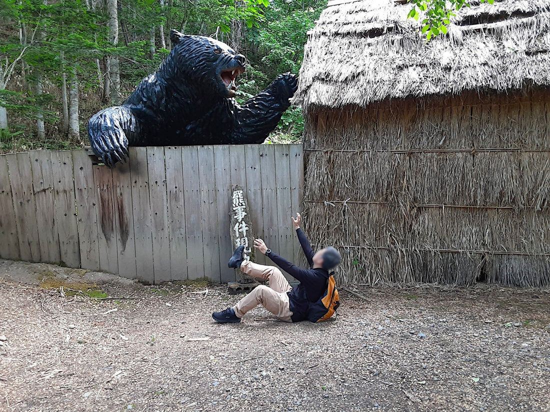 Bear Sightings Frequently in Japanese News? Don’t Panic—Here’s Your Safety Guide