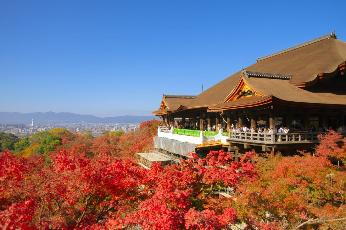【2025 Edition】Your Complete Guide to Japan’s Autumn Foliage Season