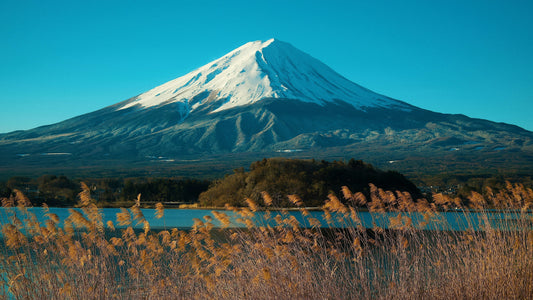 Climb Mt. Fuji with Ease: Routes, Reservations & Gear—All in One Guide!